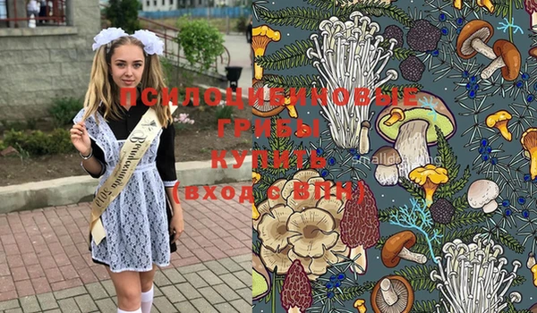 дмт Абдулино